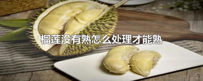榴莲没有熟怎么处理才能熟 榴莲没有熟怎么处理才能熟
