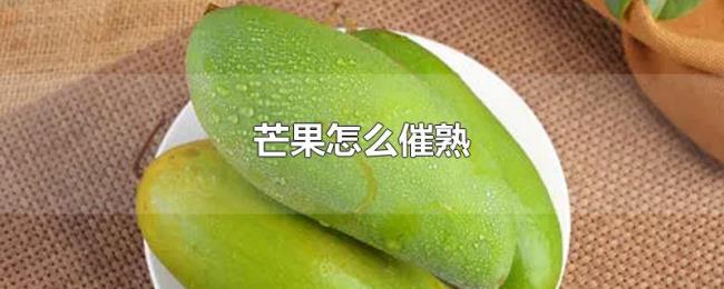 芒果怎么催熟 芒果怎么催熟