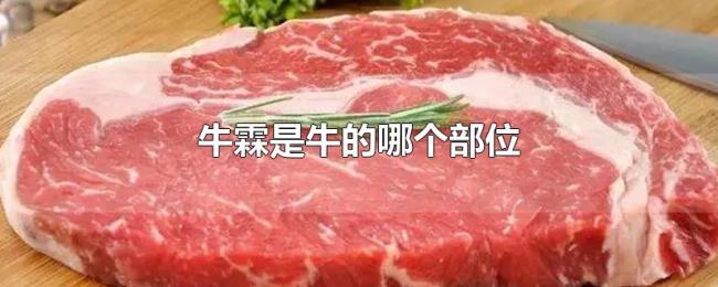 牛霖是牛的哪个部位 牛霖是牛的哪个部位