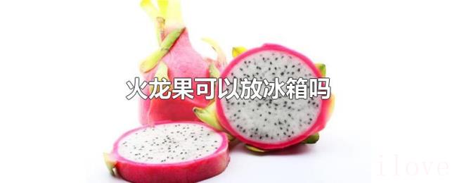 火龙果可以放冰箱吗 火龙果可以放冰箱吗