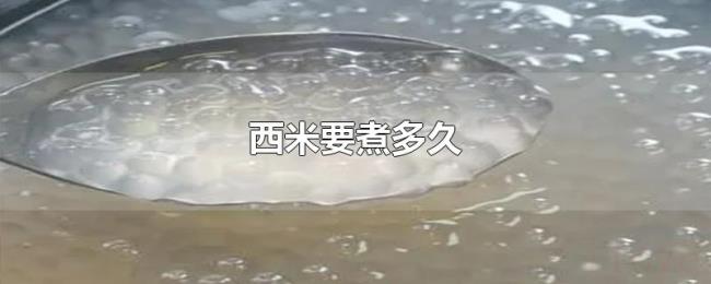 西米要煮多久 西米要煮多久