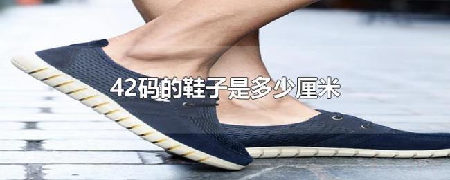 42码的鞋子是多少厘米 42码的鞋子是多少厘米