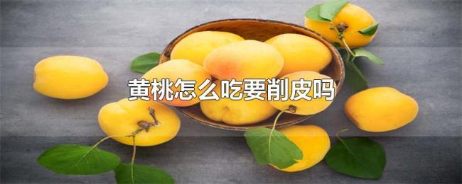 黄桃怎么吃要削皮吗 黄桃怎么吃要削皮吗