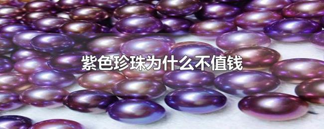 紫色珍珠为什么不值钱 紫色珍珠为什么不值钱
