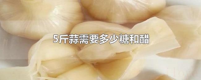 5斤蒜需要多少糖和醋 5斤蒜需要多少糖和醋