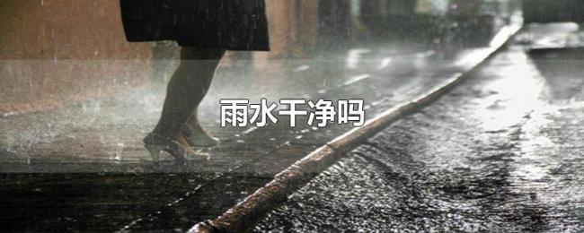 雨水干净吗