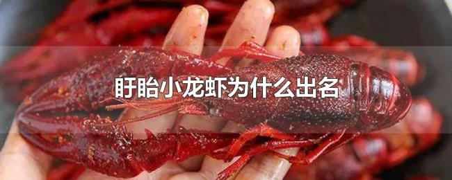 盱眙小龙虾为什么出名 盱眙小龙虾为什么出名