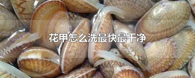 花甲怎么洗最快最干净