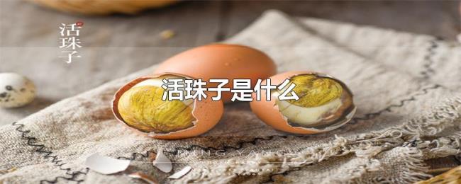 活珠子是什么