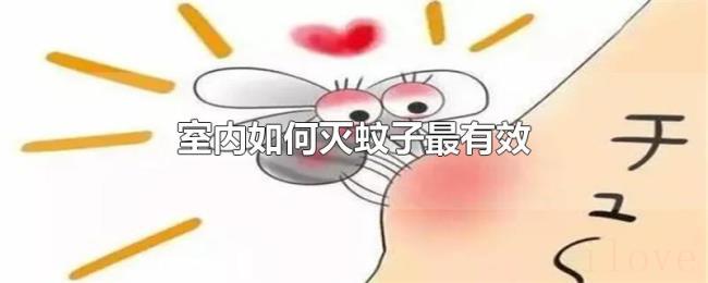 室内如何灭蚊子最有效