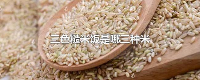 三色糙米饭是哪三种米 三色糙米饭是哪三种米