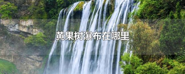 黄果树瀑布在哪里 黄果树瀑布在哪里