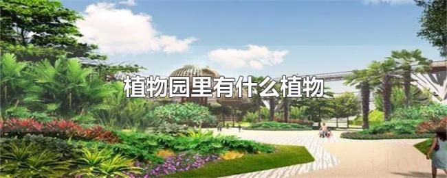 植物园里有什么植物