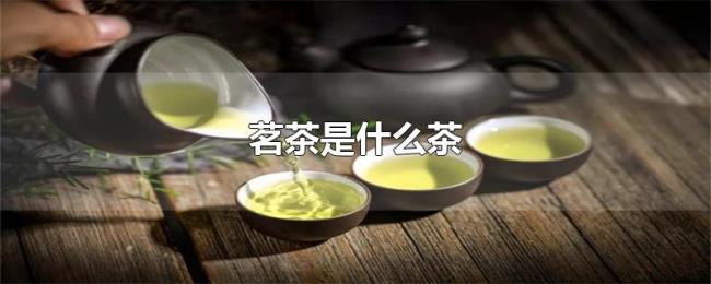茗茶是什么茶