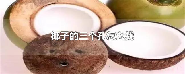 椰子的三个孔怎么找