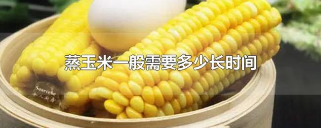 蒸玉米一般需要多少长时间 蒸玉米一般需要多少长时间
