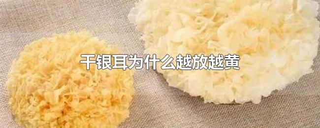 干银耳为什么越放越黄 干银耳为什么越放越黄