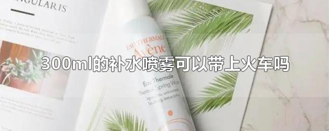 300ml的补水喷雾可以带上火车吗