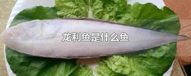 龙利鱼是什么鱼 龙利鱼是什么鱼