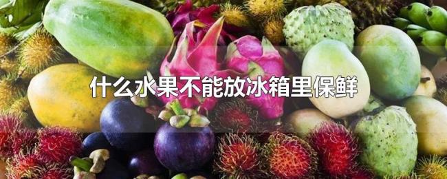 什么水果不能放冰箱里保鲜