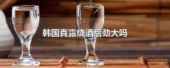 韩国真露烧酒后劲大吗
