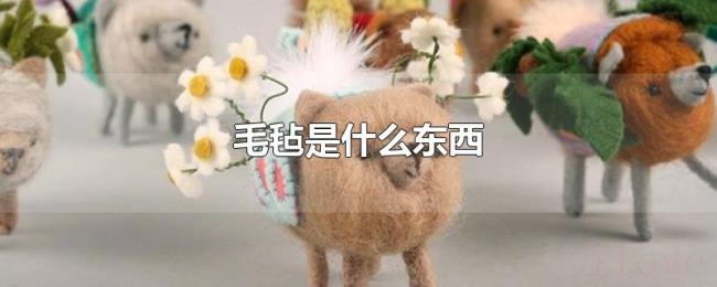 毛毡是什么东西 毛毡是什么东西