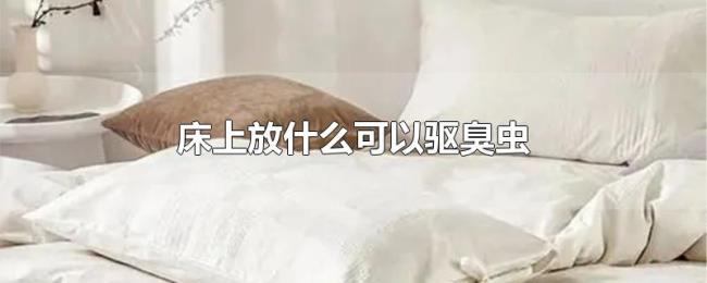 床上放什么可以驱臭虫 床上放什么可以驱臭虫