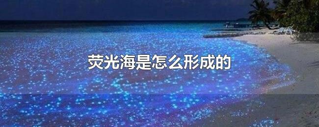 荧光海是怎么形成的