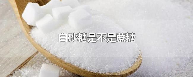 白砂糖是不是蔗糖