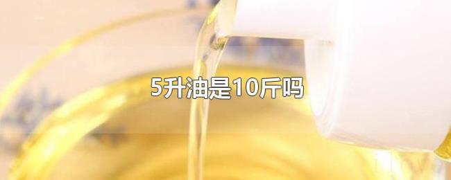 5升油是10斤吗