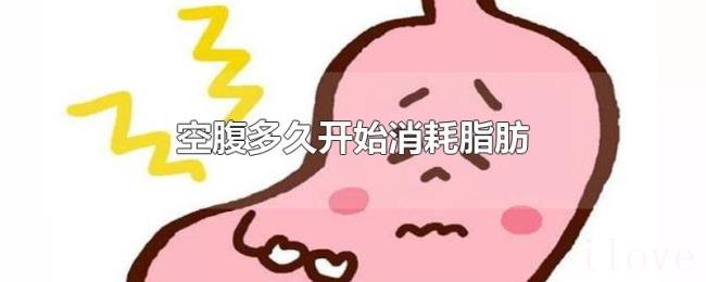 空腹多久开始消耗脂肪