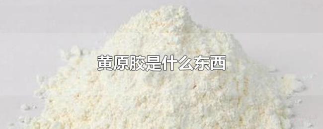 黄原胶是什么东西