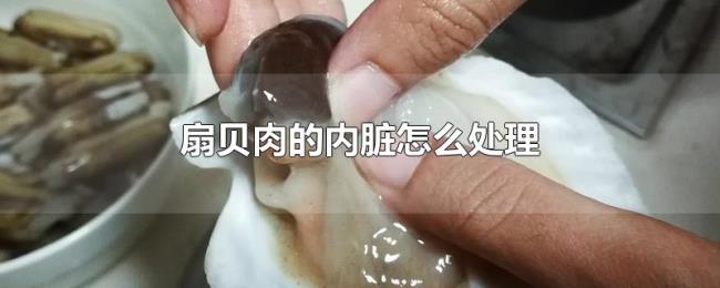 扇贝肉的内脏怎么处理