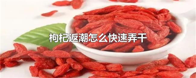 枸杞返潮怎么快速弄干