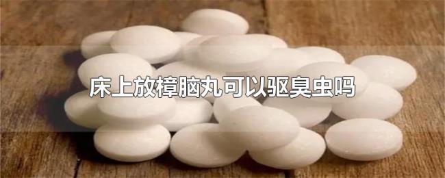 床上放樟脑丸可以驱臭虫吗