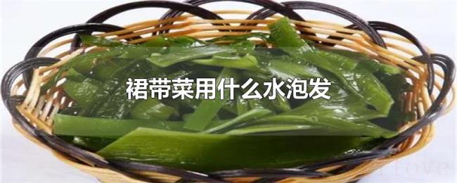 裙带菜用什么水泡发