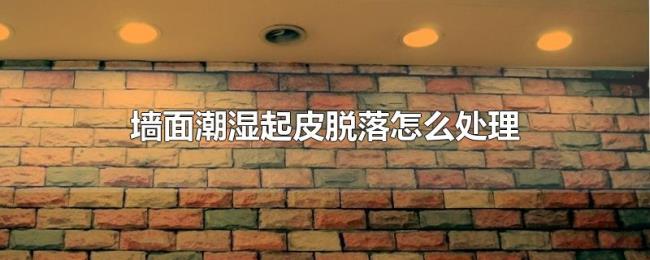 墙面潮湿起皮脱落怎么处理