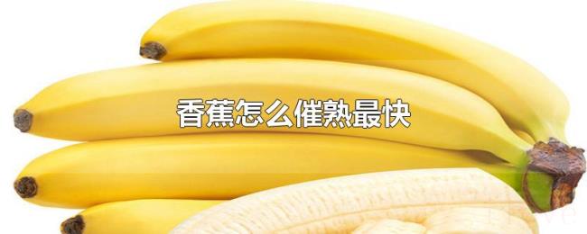 香蕉怎么催熟最快