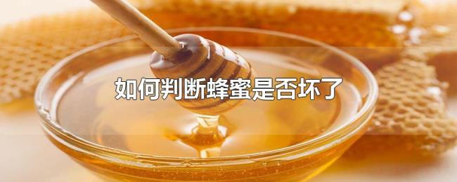 如何判断蜂蜜是否坏了