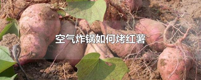 空气炸锅如何烤红薯 空气炸锅如何烤红薯