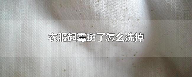 衣服起霉斑了怎么洗掉 衣服起霉斑了怎么洗掉