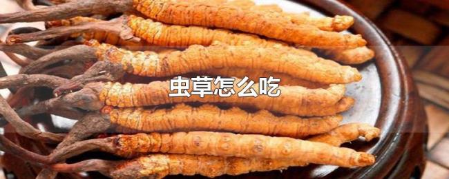 虫草怎么吃