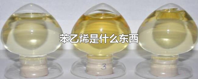 苯乙烯是什么东西