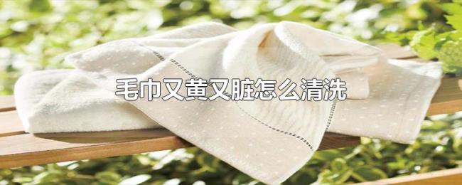 毛巾又黄又脏怎么清洗 毛巾又黄又脏怎么清洗