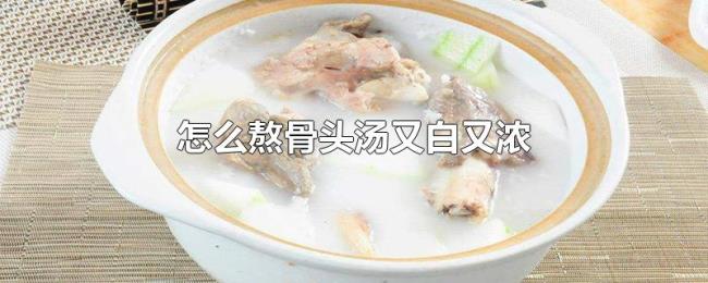 怎么熬骨头汤又白又浓