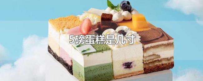 5磅蛋糕是几寸 5磅蛋糕是几寸