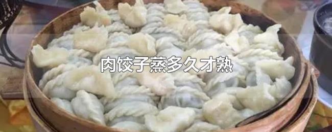 肉饺子蒸多久才熟 肉饺子蒸多久才熟