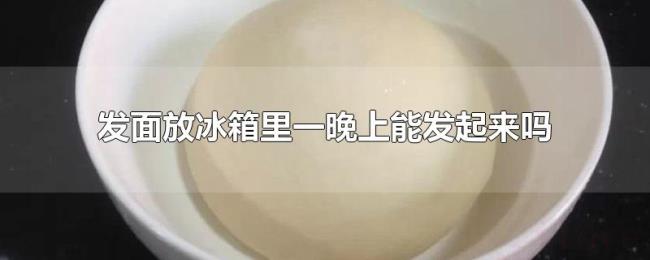 发面放冰箱里一晚上能发起来吗