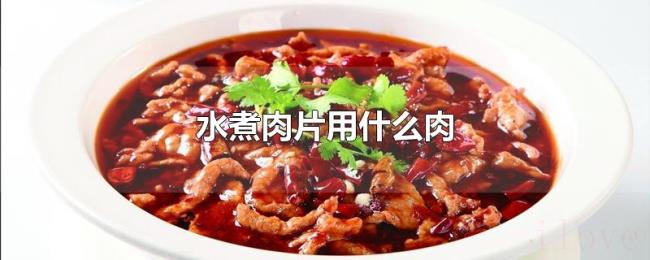 水煮肉片用什么肉 水煮肉片用什么肉