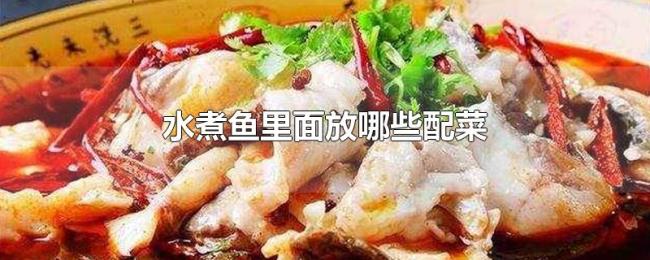 水煮鱼里面放哪些配菜